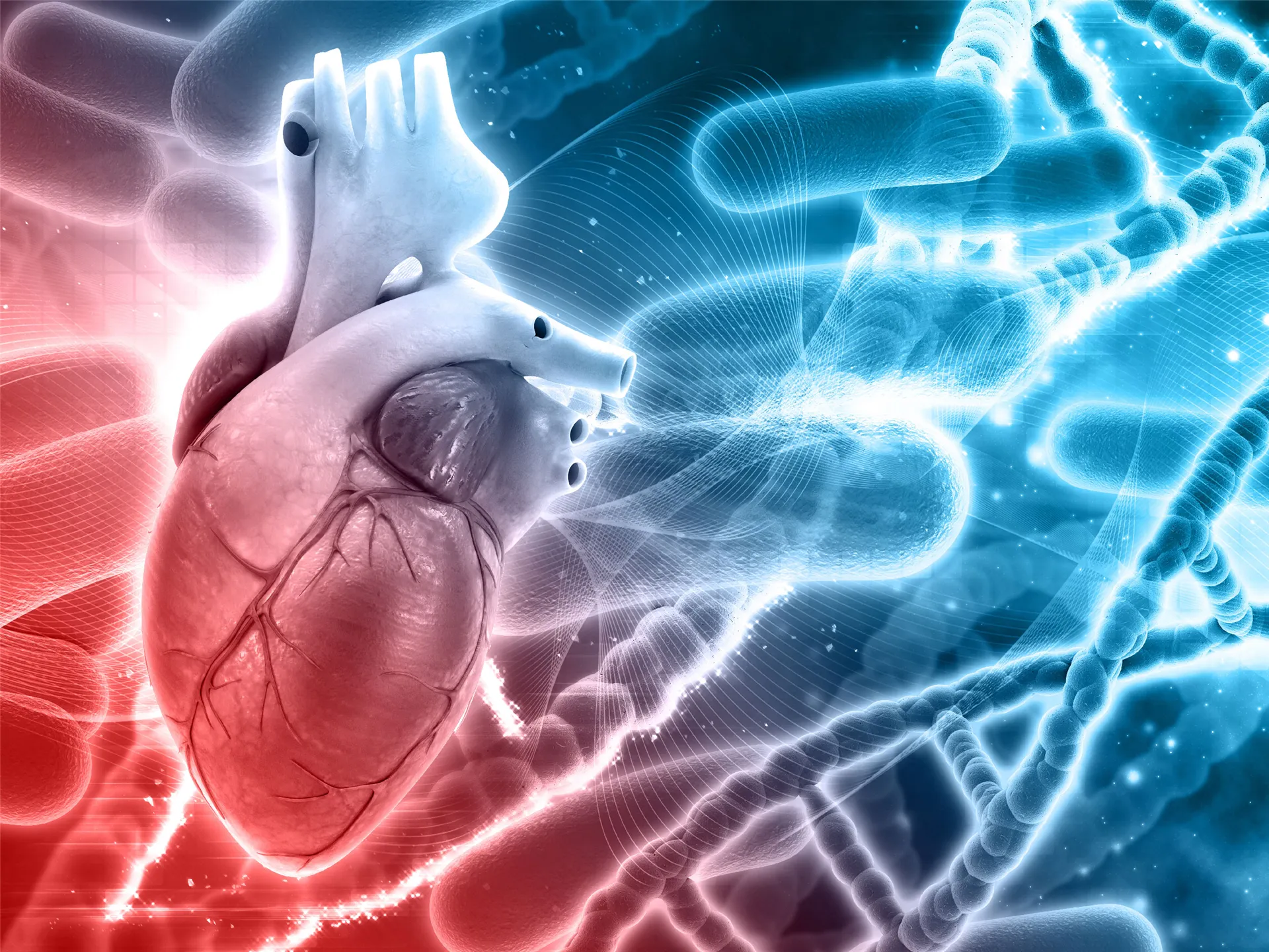 Girişimsel Kardiyoloji